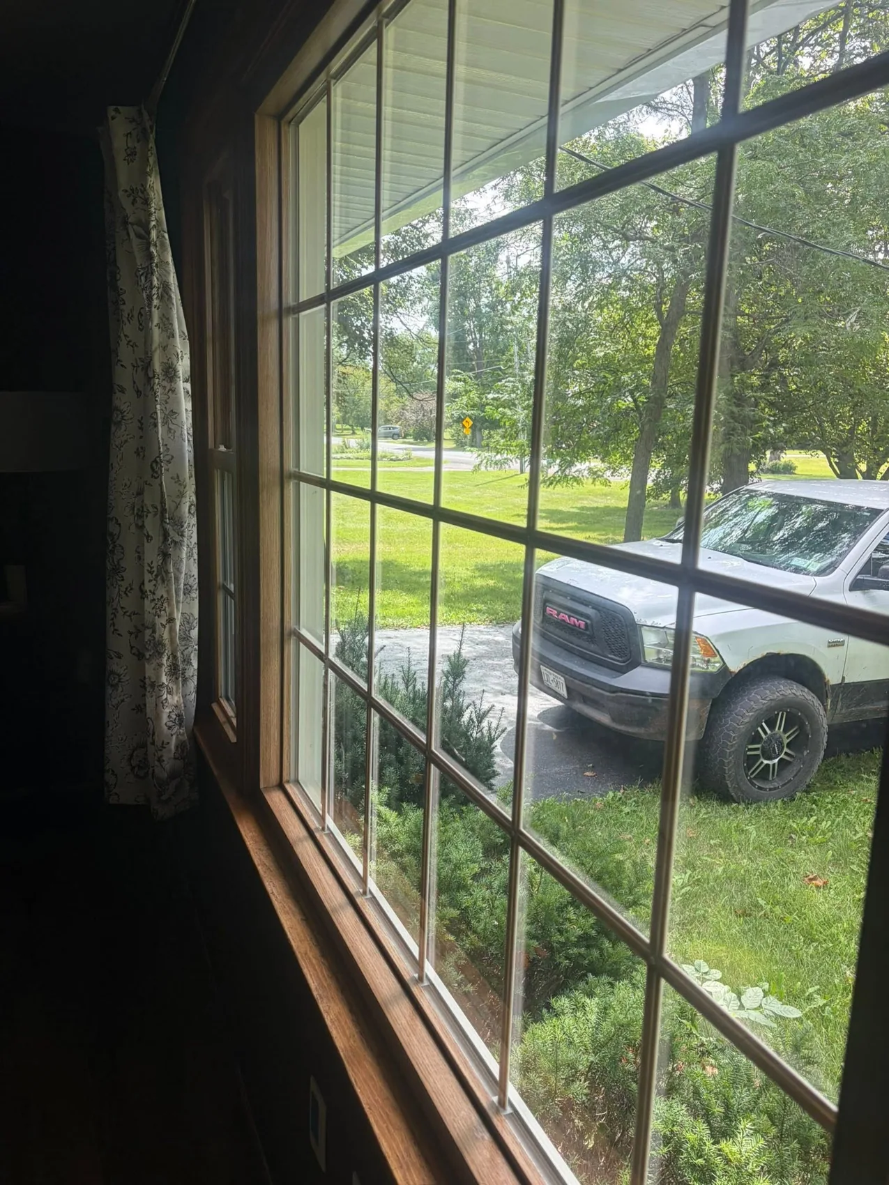 Clean sunlit window looking out to a green lawn